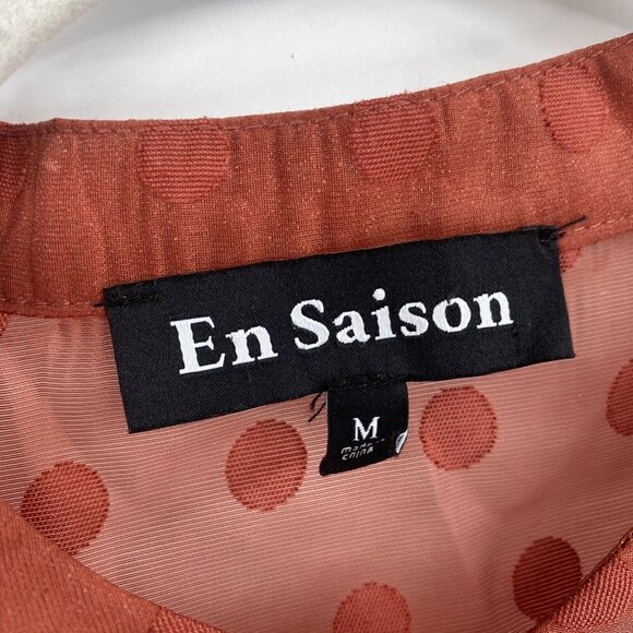 EN SAISON SIZE M EMBROIDERED DOT LONG SLEEVE BABYDOLL MINIDRESS IN RUST - Picture 8 of 11